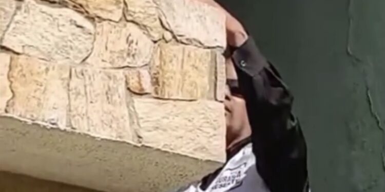 Segurança Presente também para os animais