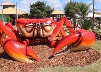 Festival do Caranguejo começa nesta sexta em Grussaí