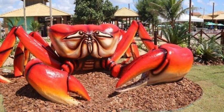 Festival do Caranguejo começa nesta sexta em Grussaí