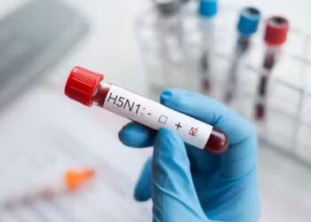 Caso de Gripe aviária é confirmado na Região dos Lagos