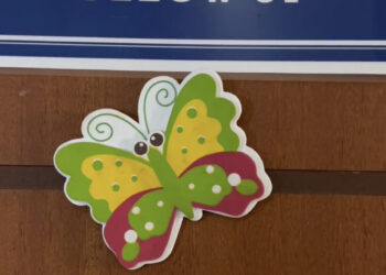 Programa Follow-up atende sua criança com prontuário 1000