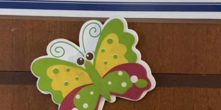 Programa Follow-up atende sua criança com prontuário 1000