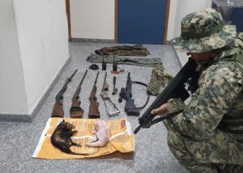 Homens são presos com armas e animais abatidos por caça ilegal