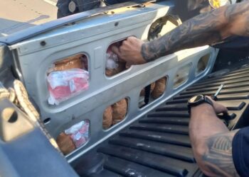 Motorista é preso transportando mais de 32 kg de drogas com destino à Cabo Frio