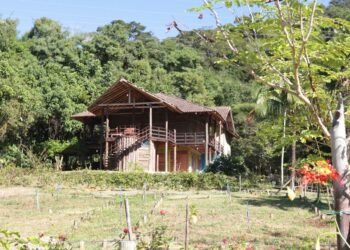 Parque Natural Atalaia abre observação da fauna noturna