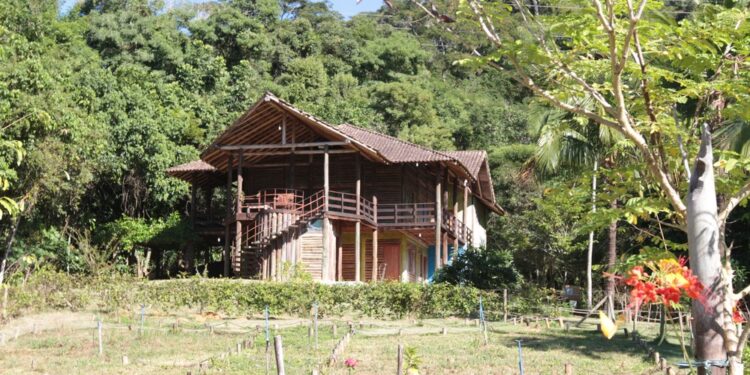 Parque Natural Atalaia abre observação da fauna noturna