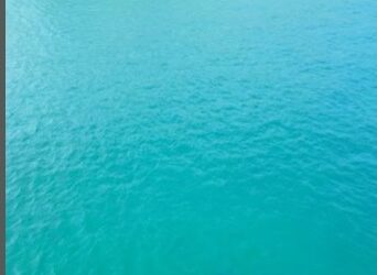 Baleia jubarte é flagrada em praia de Arraial do Cabo