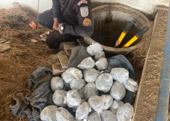 PM apreende farta quantidade de drogas em Macaé