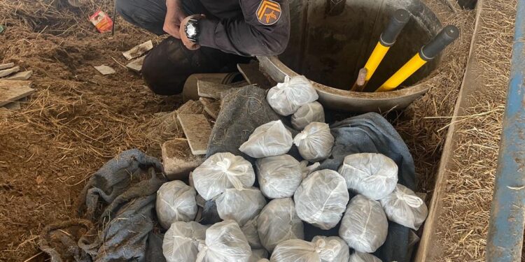 PM apreende farta quantidade de drogas em Macaé