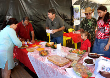 Festival do Aipim é atração neste fim de semana em Serra da Cruz