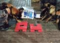 Cães farejadores encontram drogas no bagageiro de ônibus