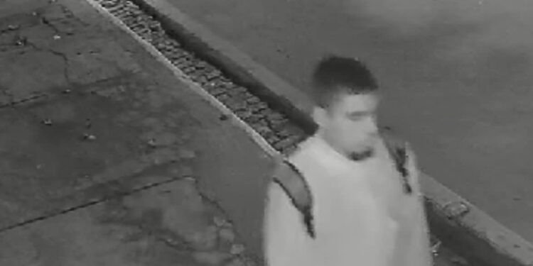 Polícia tenta localizar suspeito de vandalismo contra imagem de Nossa Senhora das Neves