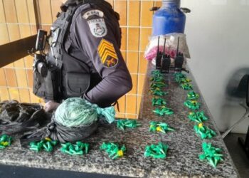 Polícias Civil e Militar prendem sete pessoas, apreendem drogas e R$ 29 mil, em Ururaí