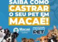 Programa oferece castração gratuita para animais