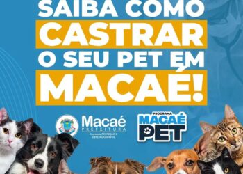 Programa oferece castração gratuita para animais