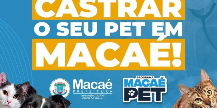 Programa oferece castração gratuita para animais