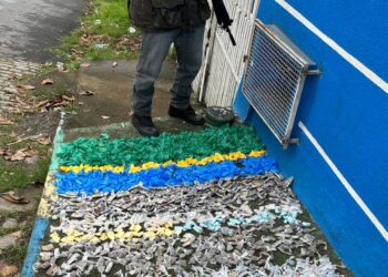 PM apreende grande quantidade de drogas em Macaé