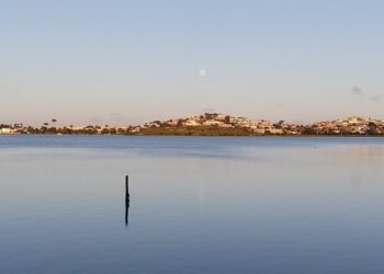 Proibição de pesca de peixe é realizada pela primeira vez em lagoa da Região dos Lagos