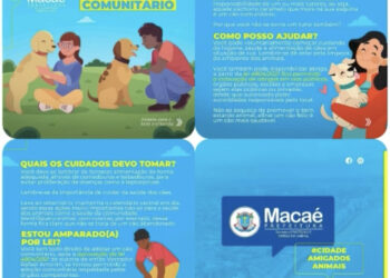 Projeto Cão Comunitário promove conscientização e qualidade de vida dos cães em situação de rua