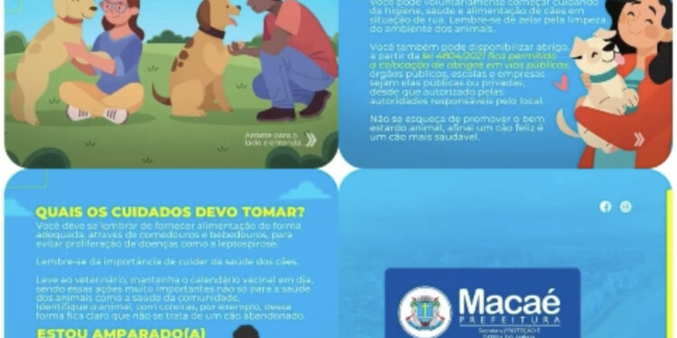 Projeto Cão Comunitário promove conscientização e qualidade de vida dos cães em situação de rua