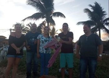 Pinguim é resgatado em Barra de São João