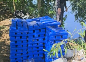 PM apreende cerca de 500 kg de maconha na divisa entre Campos e Quissamã