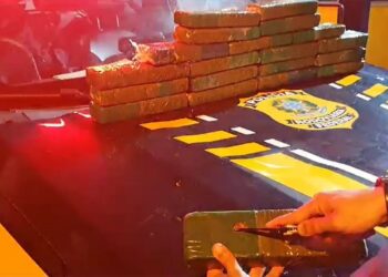 PRF flagra passageiro com 15 kg de maconha dentro de ônibus na BR-101, em Campos