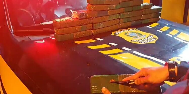 PRF flagra passageiro com 15 kg de maconha dentro de ônibus na BR-101, em Campos