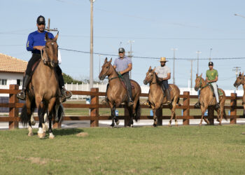 Expo Nacional do Campolina segue até sábado em Macaé