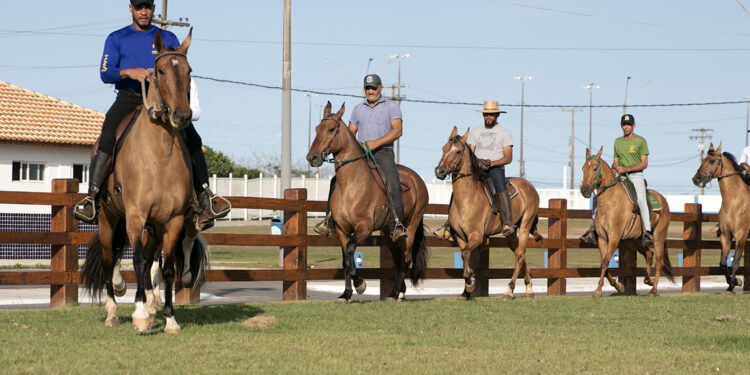 Expo Nacional do Campolina segue até sábado em Macaé