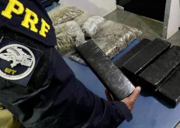 PRF apreende cerca de 9 quilos de drogas na BR-101, em Casimiro de Abreu