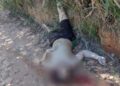 Corpo de homem encontrado em Carapebus segue sem identificação no IML de Macaé