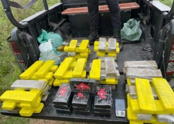 PM apreende grande quantidade de drogas em Campos