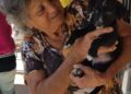 Feira de Adoção de Animais acontece neste sábado, em Búzios