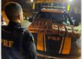 PRF prende homem que transportava ilegalmente mais de 140 pássaros silvestres na BR-101