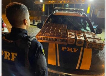 PRF prende homem que transportava ilegalmente mais de 140 pássaros silvestres na BR-101