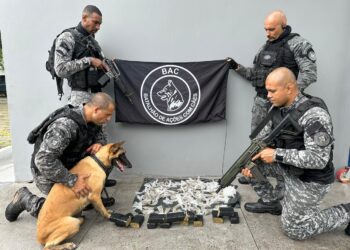 Polícia apreende drogas no bairro Nova Holanda, em Macaé
