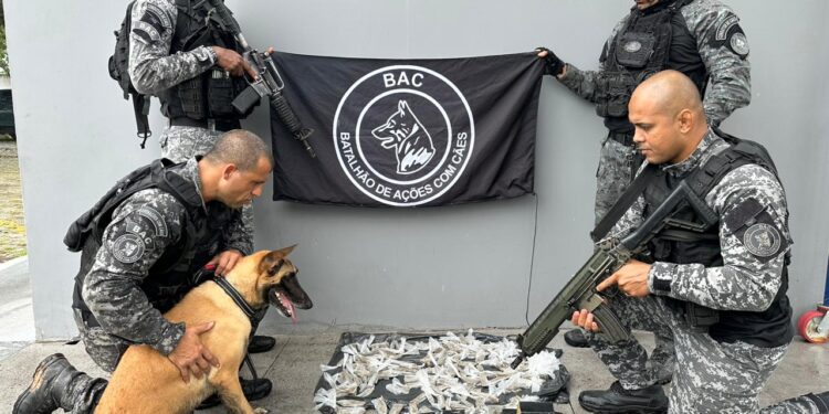Polícia apreende drogas no bairro Nova Holanda, em Macaé