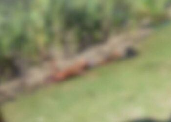 Homem é encontrado morto com marcas de facadas em Campos