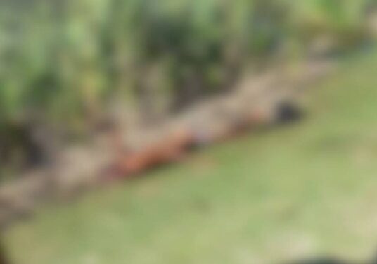 Homem é encontrado morto com marcas de facadas em Campos