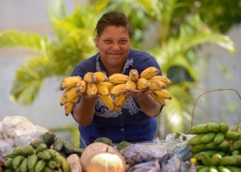 Exército faz chamamento público para agricultor familiar em Campos