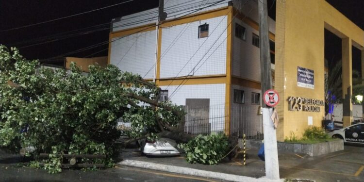 123ª DP fica sem sistema após queda de árvore atingir rede elétrica