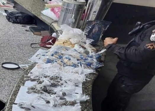 Polícia apreende grande quantidade de drogas em “laboratório do tráfico”, em Campos