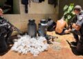 Farta quantidade de droga é apreendida em Conceição de Macabu