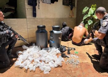 Farta quantidade de droga é apreendida em Conceição de Macabu