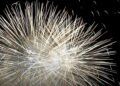 MPRJ recomenda que vereadores não revoguem lei que proíbe fogos de artifícios