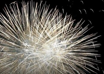 MPRJ recomenda que vereadores não revoguem lei que proíbe fogos de artifícios