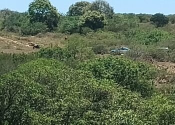 Duas mulheres são encontradas mortas com marcas de violência em Búzios