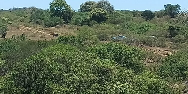 Duas mulheres são encontradas mortas com marcas de violência em Búzios