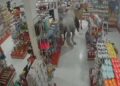 Cavalos provocam caos ao invadir farmácia em Rio das Ostras